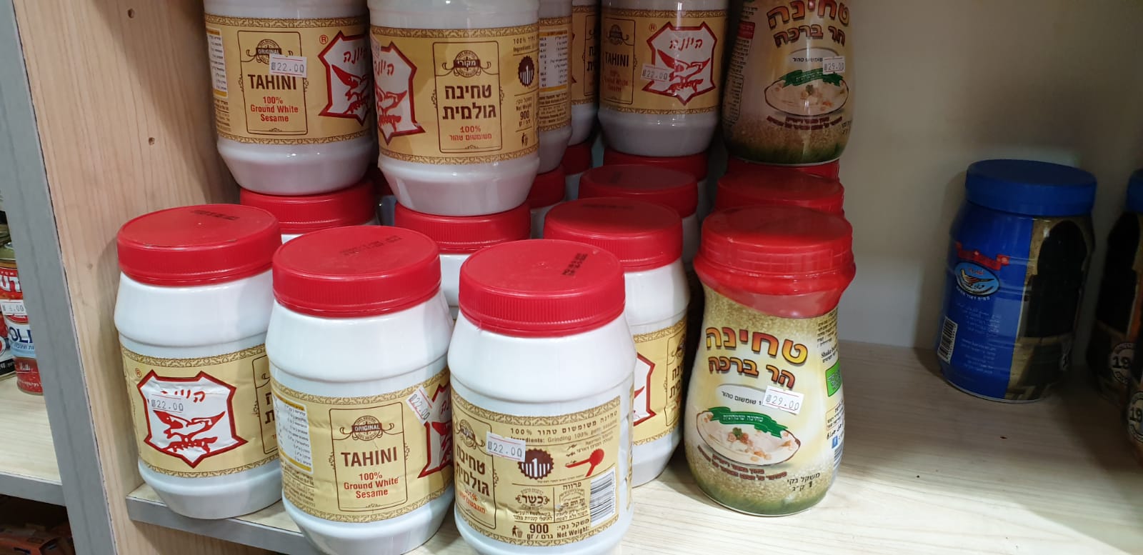 WhatsApp Image 2019-05-02 at 8.46.03 PM.jpeg.jpeg